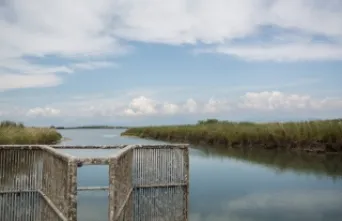 Λιμνοθάλασσα Ξηρολίμνη